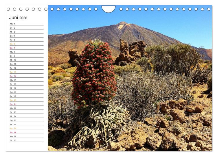Produktbild: Der Norden von Teneriffa (Wandkalender 2026 DIN A4 quer), CALVENDO Monatskalender