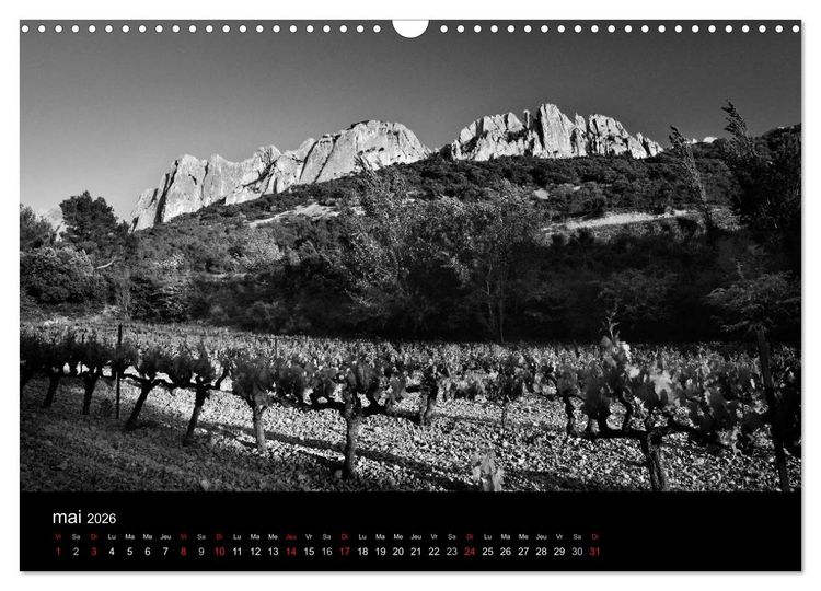 Produktbild: VIGNES DU SUD terroirs d'AOC (Calendrier mural 2026 DIN A3 vertical), CALVENDO calendrier mensuel