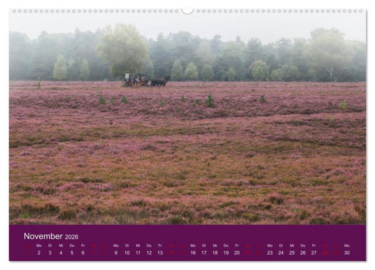 Produktbild: Die Heide bl&uuml;ht (hochwertiger Premium Wandkalender 2026 DIN A2 quer), Kunstdruck in Hochglanz