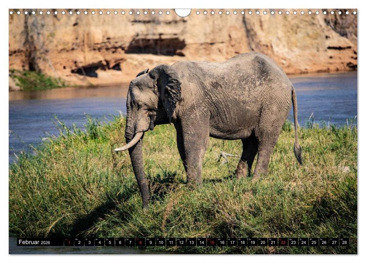Produktbild: Sambia "Das wirkliche Afrika" (Wandkalender 2026 DIN A3 quer), CALVENDO Monatskalender