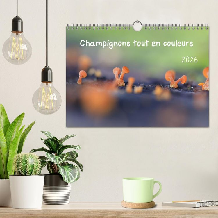 Produktbild: Champignons tout en couleurs (Calendrier mural 2026 DIN A4 vertical), CALVENDO calendrier mensuel