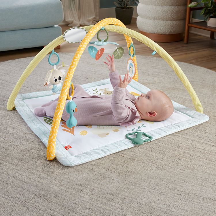 Produktbild: Fisher-Price Simply Senses Newborn Gym
