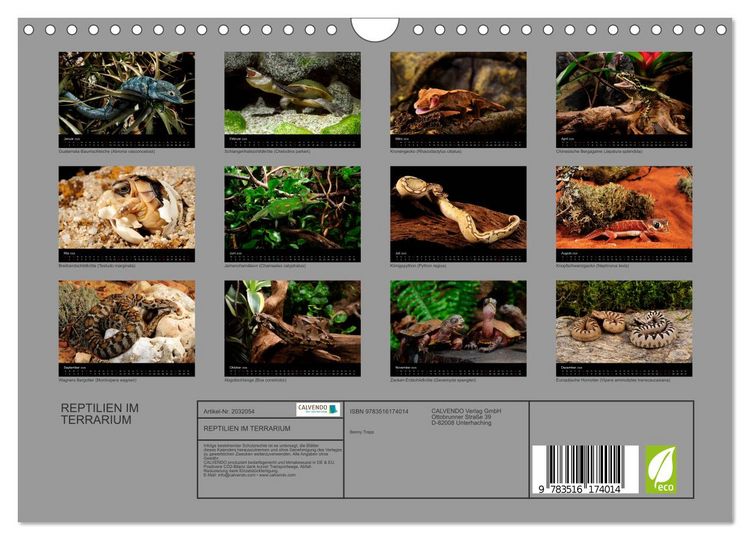 Produktbild: REPTILIEN IM TERRARIUM (Wandkalender 2026 DIN A4 quer), CALVENDO Monatskalender