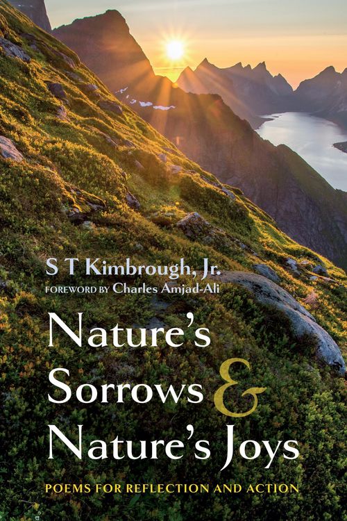 Produktbild: Nature's Sorrows and Nature's Joys