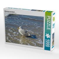 Produktbild: CALVENDO Puzzle Silberm&ouml;we am Strand | 1000 Teile Lege-Gr&ouml;&szlig;e 64x48cm Foto-Puzzle f&uuml;r gl&uuml;ckliche Stunden