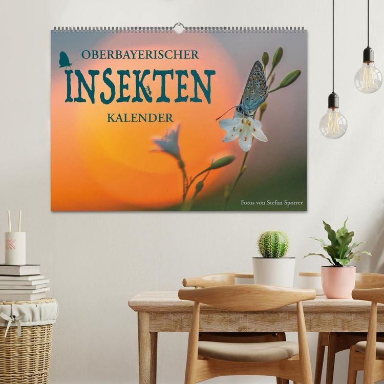 Produktbild: Oberbayerischer Insekten Kalender (Wandkalender 2027 DIN A2 quer), CALVENDO Monatskalender