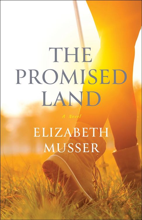 Produktbild: The Promised Land