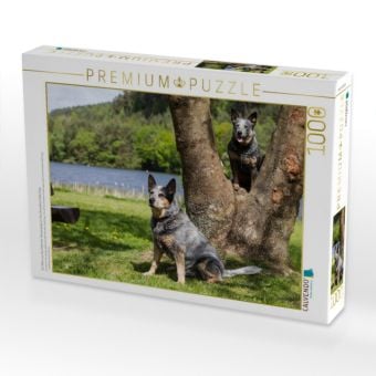 Produktbild: CALVENDO Puzzle Ein Motiv aus dem Kalender Spaziergang am See Australian Cattle Dogs | 1000 Teile Lege-Gr&ouml;&szlig;e 64x48cm Foto-Puzzle f&uuml;r gl&uuml;ckliche Stunden