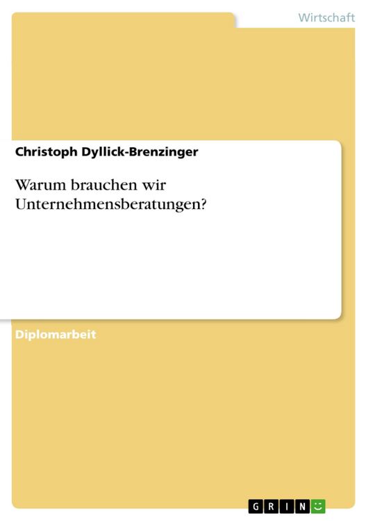 Produktbild: Warum brauchen wir Unternehmensberatungen?