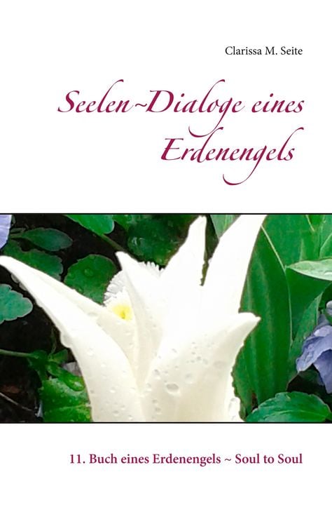Produktbild: Seelen-Dialoge eines Erdenengels