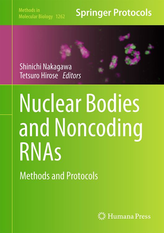 Produktbild: Nuclear Bodies and Noncoding RNAs