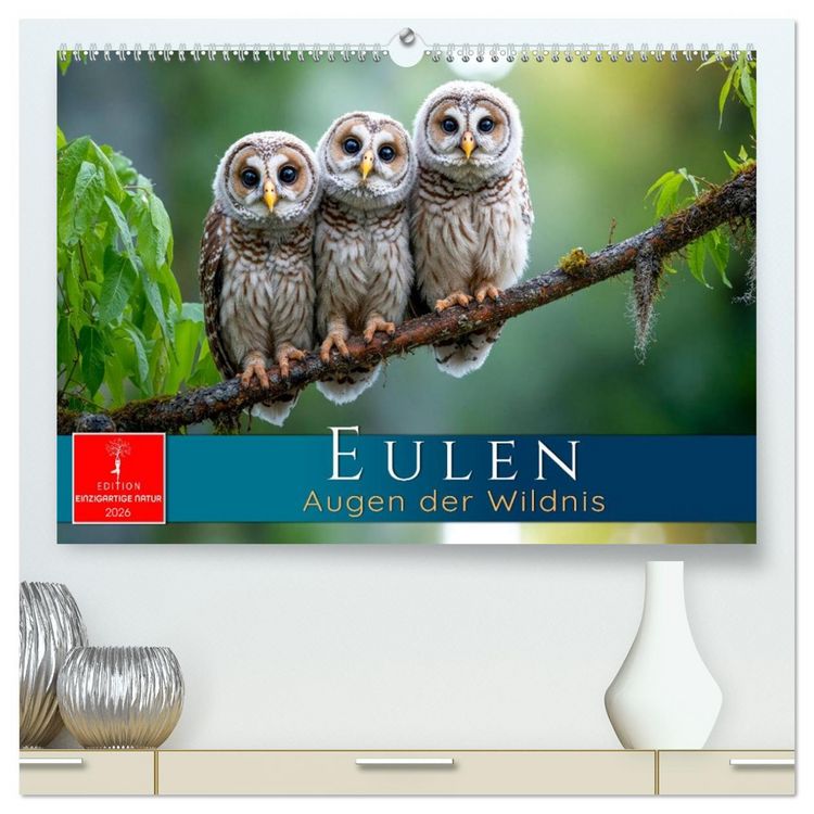 Produktbild: Eulen - Augen der Wildnis (hochwertiger Premium Wandkalender 2026 DIN A2 quer), Kunstdruck in Hochglanz