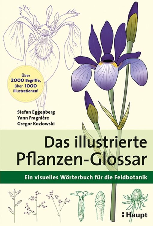 Produktbild: Das illustrierte Pflanzen-Glossar