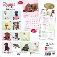 Produktbild: Lovable Labs