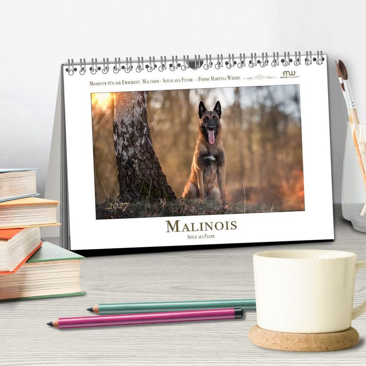 Produktbild: Malinois - Seelen aus Feuer (Tischkalender 2027 DIN A5 quer), CALVENDO Monatskalender
