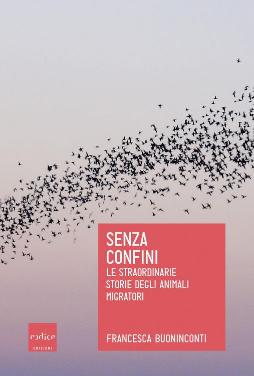 Produktbild: Senza confini. Le straordinarie storie degli animali migratori
