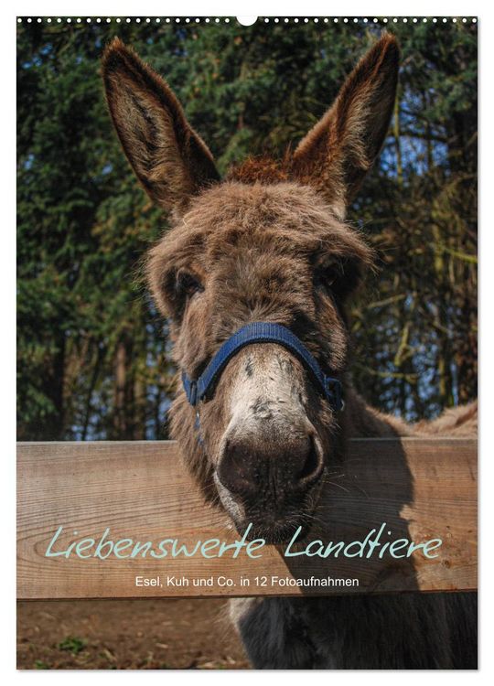 Produktbild: Liebenswerte Landtiere (Wandkalender 2026 DIN A2 hoch), CALVENDO Monatskalender