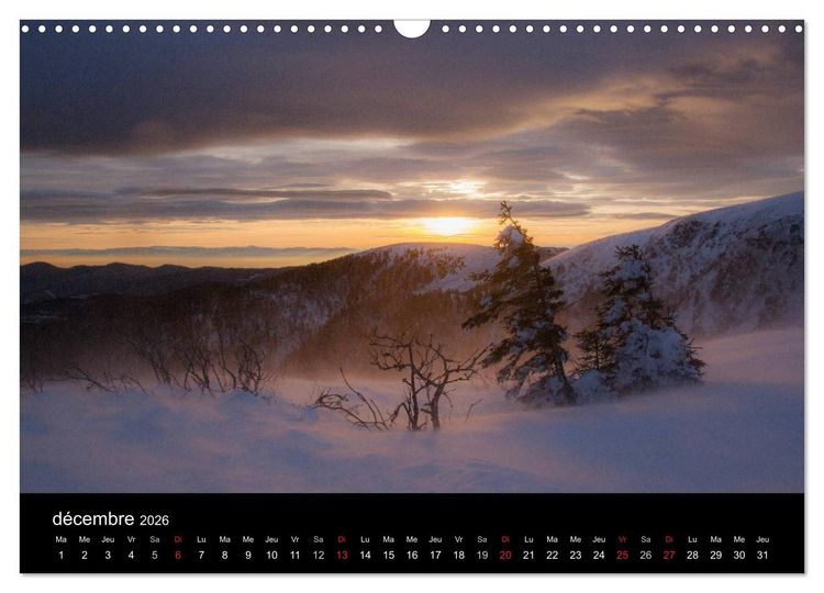 Produktbild: Tr&eacute;sors des Vosges (Calendrier mural 2026 DIN A3 vertical), CALVENDO calendrier mensuel