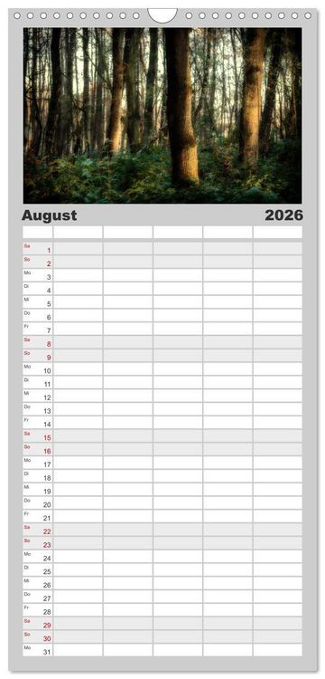 Produktbild: Familienplaner 2026 - Mystische W&auml;lder mit 5 Spalten (Wandkalender, 21 x 45 cm) CALVENDO