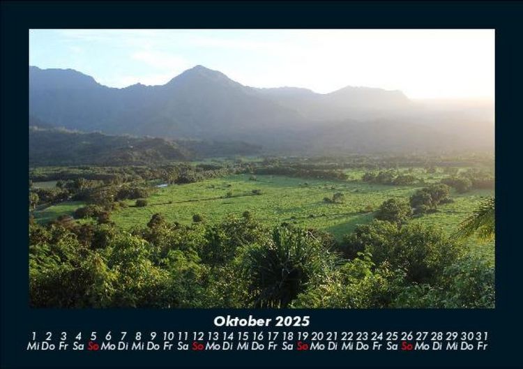 Produktbild: B&auml;ume 2025 Fotokalender DIN A5