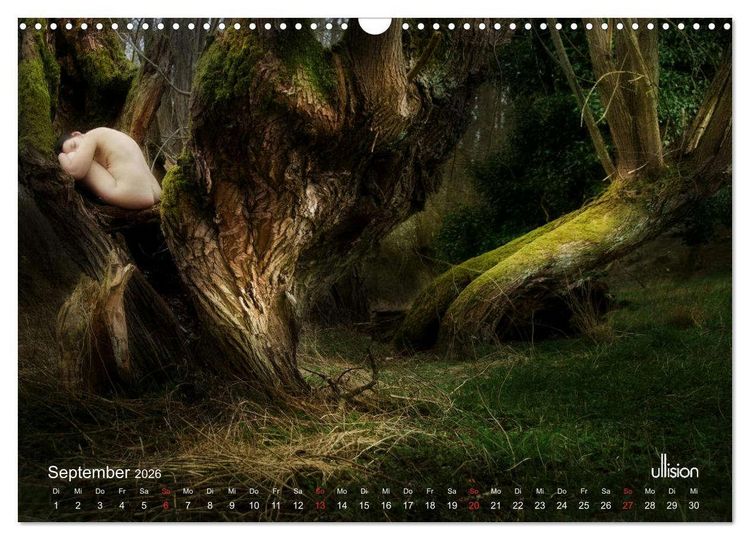 Produktbild: Lieblingsb&auml;ume - eins mit der Natur (Wandkalender 2026 DIN A3 quer), CALVENDO Monatskalender