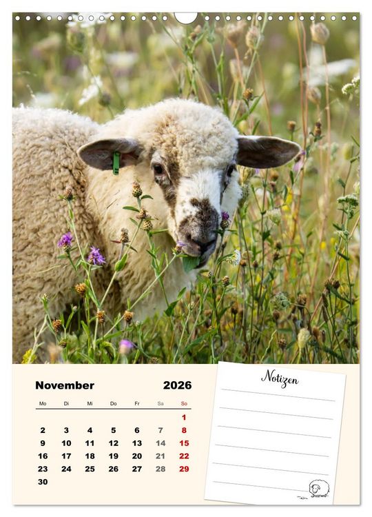 Produktbild: L&auml;mmergl&uuml;ck (Wandkalender 2026 DIN A3 hoch), CALVENDO Monatskalender