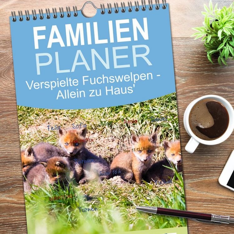 Produktbild: Familienplaner 2026 - Verspielte Fuchswelpen - Allein zu Haus' mit 5 Spalten (Wandkalender, 21 x 45 cm) CALVENDO