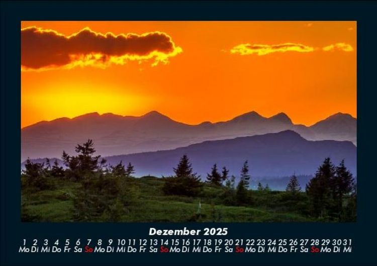 Produktbild: B&auml;ume 2025 Fotokalender DIN A5