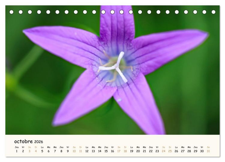 Produktbild: Au c&oelig;ur des fleurs (Calendrier de bureau 2026 DIN A5 vertical), CALVENDO calendrier mensuel