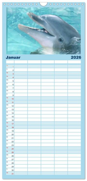Produktbild: Familienplaner 2026 - Delfine - Kalender mit 5 Spalten (Wandkalender, 21 x 45 cm) CALVENDO