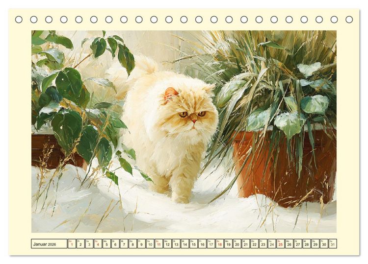 Produktbild: Perserkatzen. Flauschige Momente in kunstvoller &Ouml;loptik (Tischkalender 2026 DIN A5 quer), CALVENDO Monatskalender