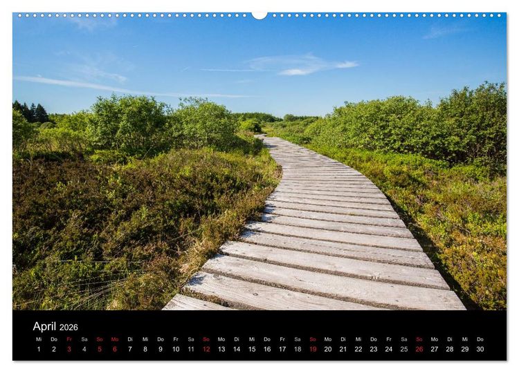 Produktbild: HOHES VENN - Einblicke in ein Hochmoor (hochwertiger Premium Wandkalender 2026 DIN A2 quer), Kunstdruck in Hochglanz