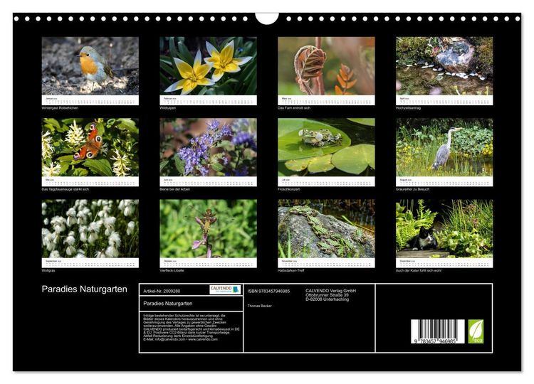 Produktbild: Paradies Naturgarten (Wandkalender 2026 DIN A3 quer), CALVENDO Monatskalender