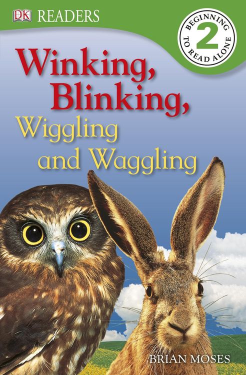 Produktbild: Winking, Blinking, Wiggling and Waggling