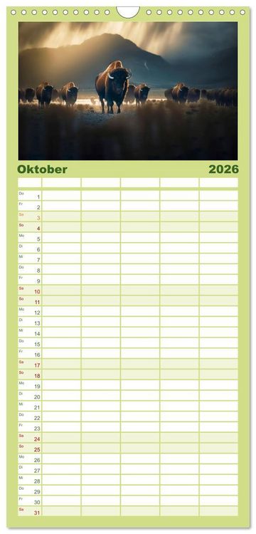 Produktbild: Familienplaner 2026 - Amerikanischer Bison mit 5 Spalten (Wandkalender, 21 x 45 cm) CALVENDO