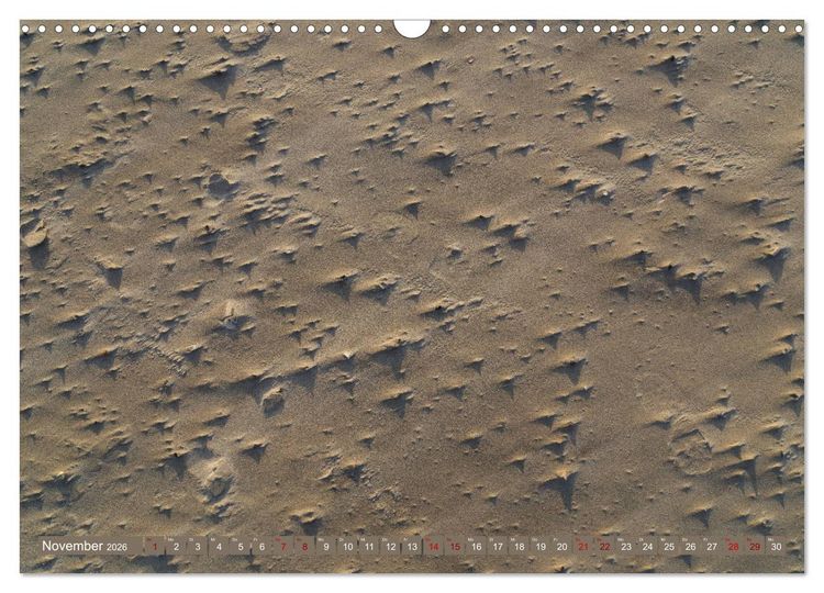 Produktbild: Einmaliges Westerhever (Wandkalender 2026 DIN A3 quer), CALVENDO Monatskalender