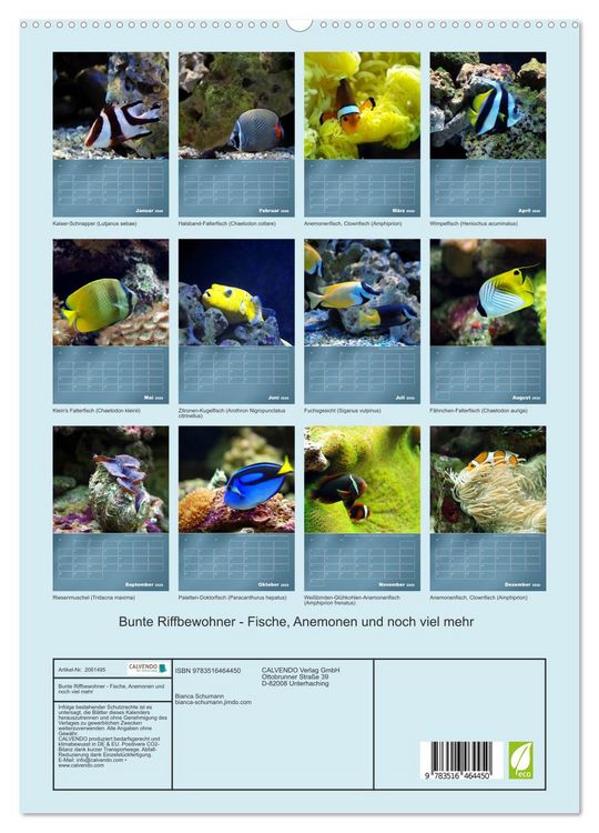 Produktbild: Bunte Riffbewohner - Fische, Anemonen und noch viel mehr (hochwertiger Premium Wandkalender 2026 DIN A2 hoch), Kunstdruck in Hochglanz
