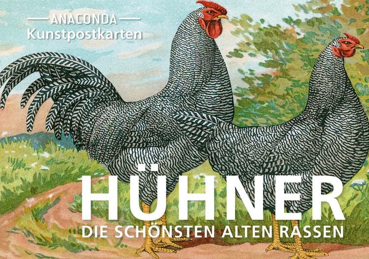 Produktbild: Postkarten-Set Hühner