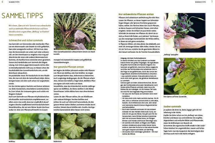 Produktbild: Die gro&szlig;e Wildkr&auml;uter-Kochschule