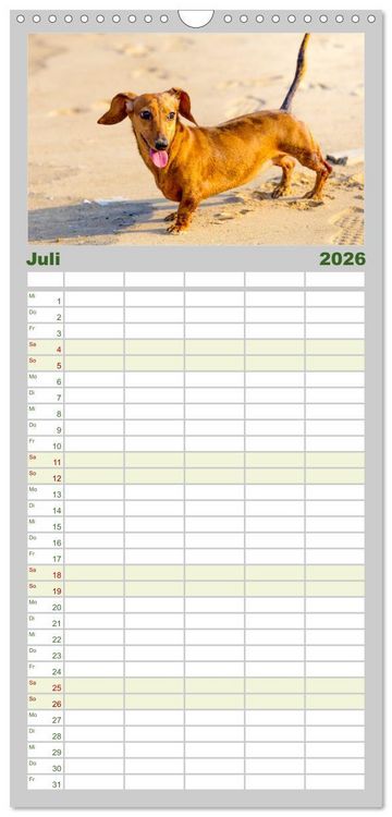 Produktbild: Familienplaner 2026 - Dackelblicke - Lassen Herzen erw&auml;rmen. mit 5 Spalten (Wandkalender, 21 x 45 cm) CALVENDO