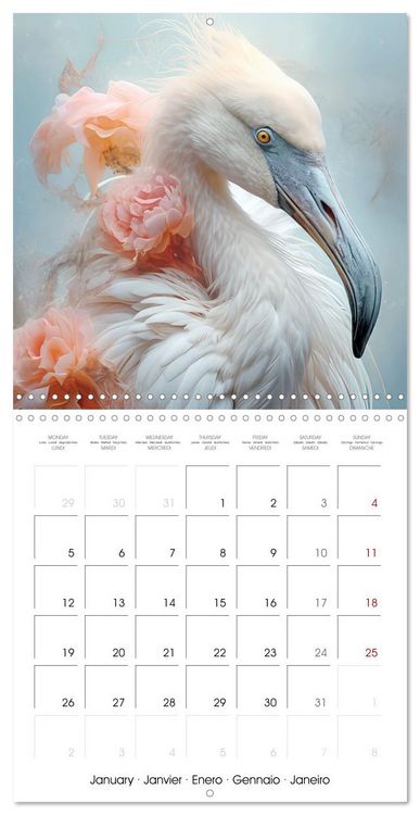 Produktbild: Delicate animal portraits (Wall Calendar 2026 12 &times; 12 Inch) CALVENDO 12 Month Wall Calendar