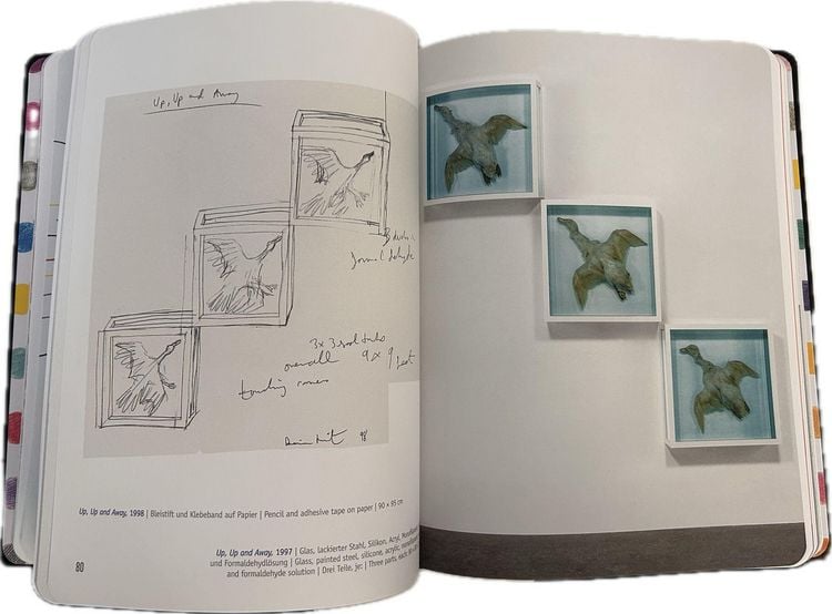 Produktbild: Damien Hirst - Drawings