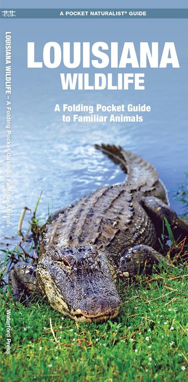 Produktbild: Louisiana Wildlife