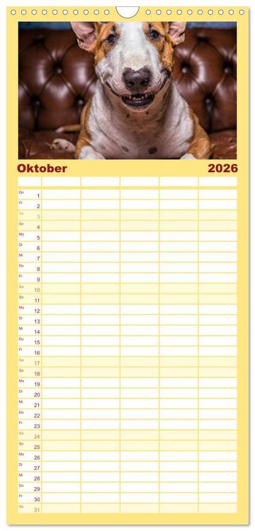 Produktbild: Familienplaner 2026 - Bullterrier mit 5 Spalten (Wandkalender, 21 x 45 cm) CALVENDO