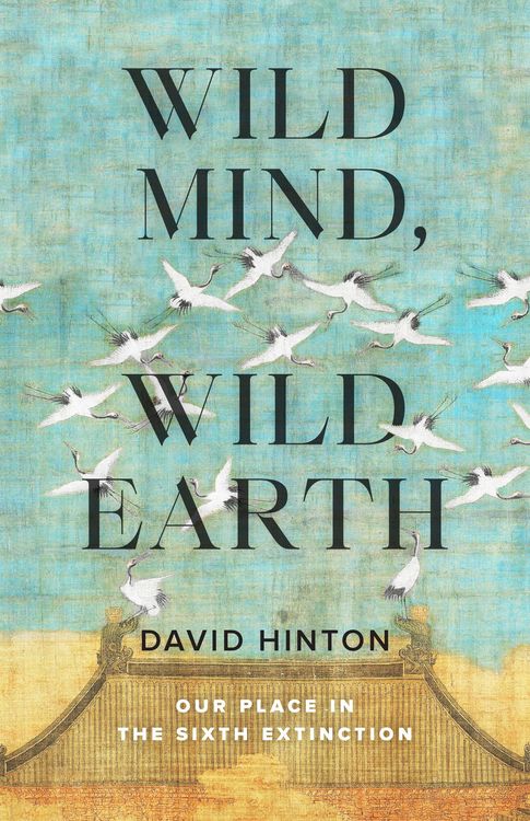 Produktbild: Wild Mind, Wild Earth