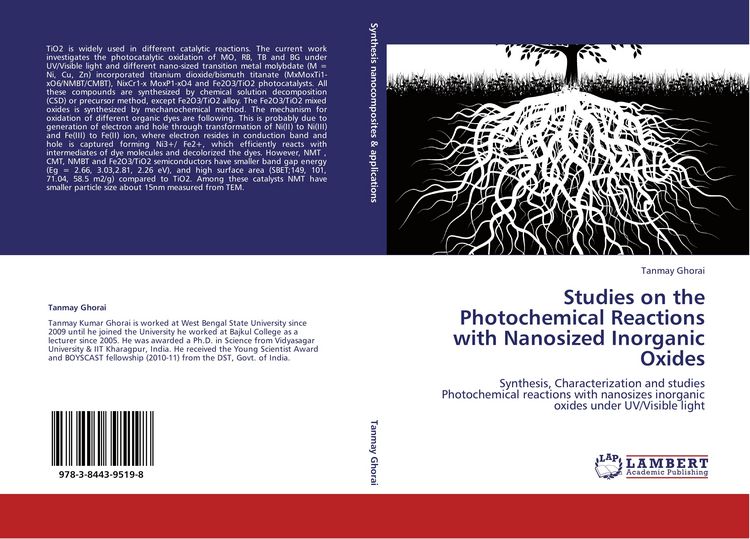 Produktbild: Studies on the Photochemical Reactions with Nanosized Inorganic Oxides