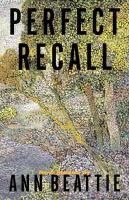 Produktbild: Perfect Recall