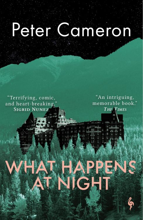 Produktbild: What Happens at Night