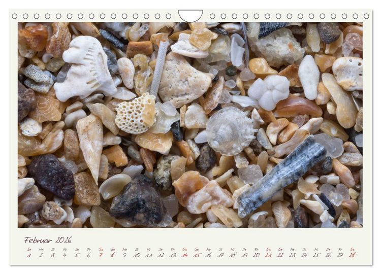 Produktbild: Abenteuer Mikrofotografie Sand (Wandkalender 2026 DIN A4 quer), CALVENDO Monatskalender