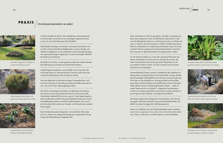 Produktbild: Peter Janke: Mein Garten im Wandel des Zeitgeistes und des Klimas
